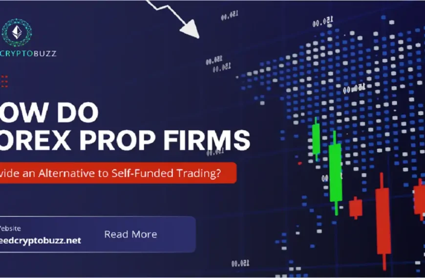 trade forex with your own money