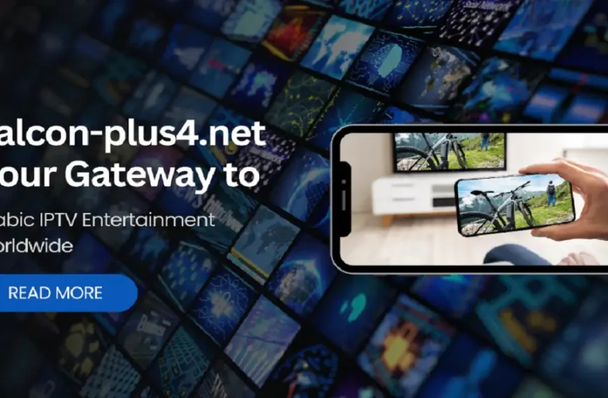 KuV24-manager.de – A Trusted Platform for D&O Insurance for Managers